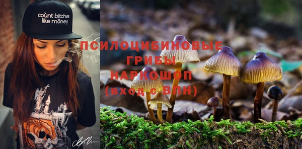 винт Балахна